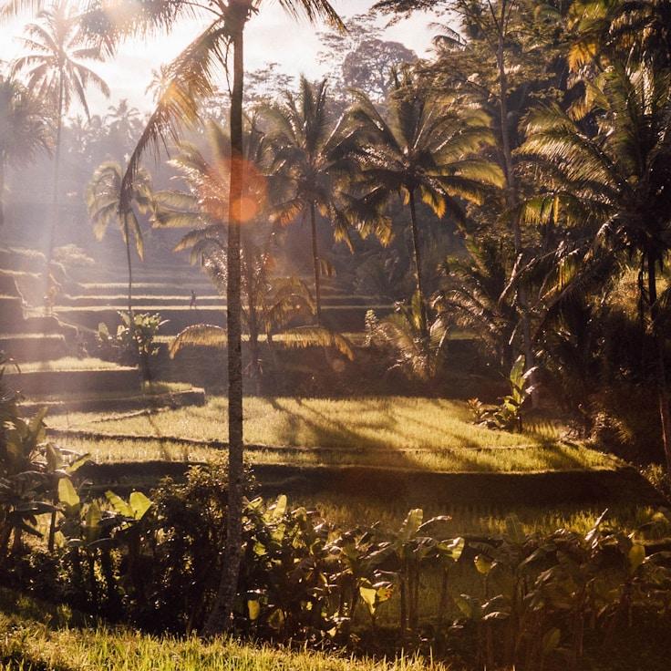 Outdoor terrace seating suitable for families in Madrid